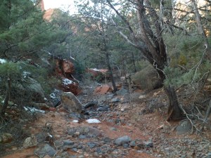 SAM_3722