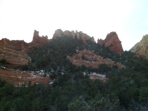 SAM_3724