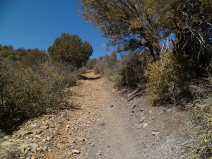 SAM_4044
