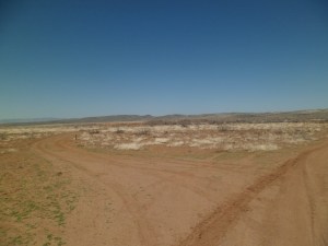 Top of Perry Mesa, Agua Fria National Monument, AZ
