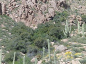 SAM_4373