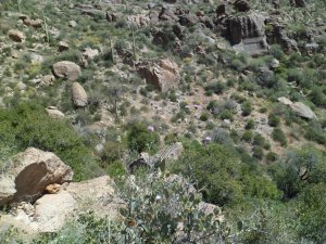 SAM_4379