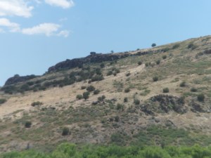 This long sub-canyon stretches for five miles along Forest Road 68, below Yellow Jacket Mesa, visible at the top.