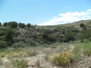 This is the north ridge of Tule Canyon, which runs east of Dugas.