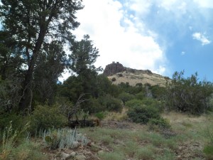 This igneous rock outcropping rises just southeast of Dugas, and about three miles southwest of Pine Mountain Wilderness