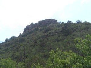 SAM_4927