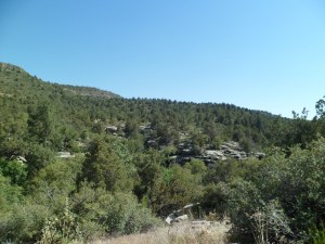 SAM_4942