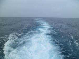 SAM_5132