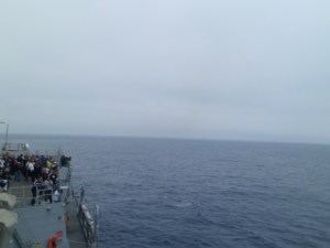 SAM_5135