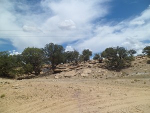 SAM_5186
