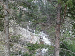SAM_5253
