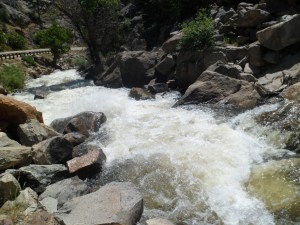 SAM_5266