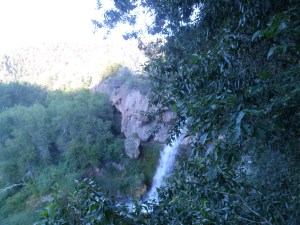 SAM_5327