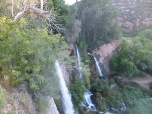 SAM_5336