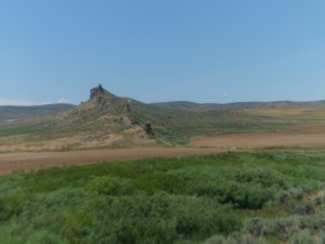 SAM_5365