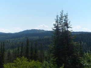 SAM_5386
