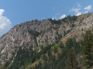 SAM_5394