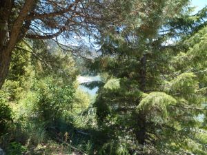 SAM_5397