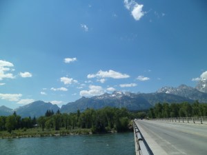 SAM_5406