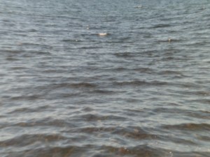 SAM_5428