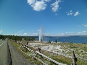 SAM_5433