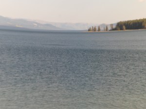SAM_5439