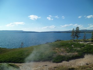 SAM_5444