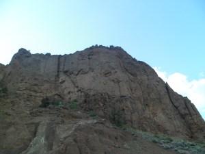 SAM_5452