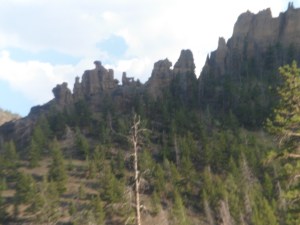 SAM_5455