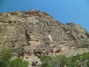 SAM_5468