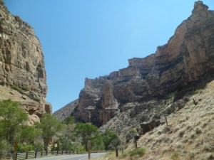 SAM_5470