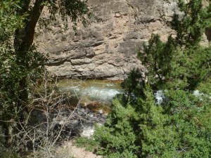 SAM_5471