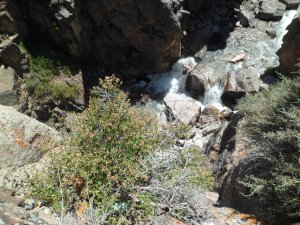 SAM_5498