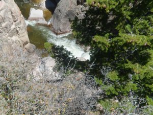 SAM_5499