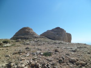 SAM_5534