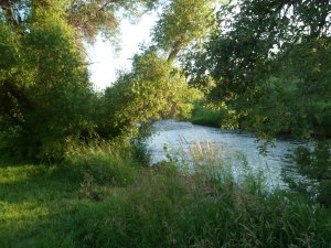 SAM_5544