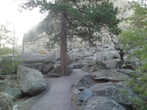 SAM_5554
