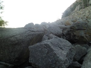 SAM_5555