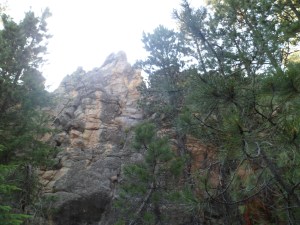 SAM_5644