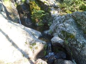 SAM_5651