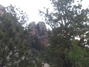 SAM_5667