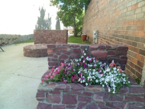 SAM_5934