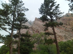 SAM_6081
