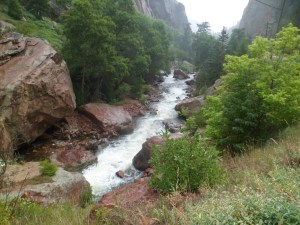SAM_6085