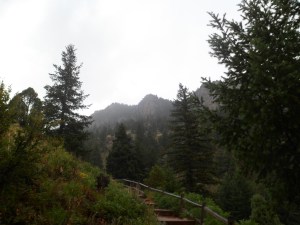 SAM_6091