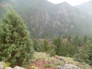 SAM_6095