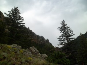 SAM_6099