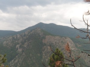 SAM_6106