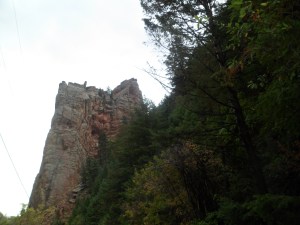 SAM_6141