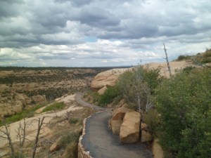 SAM_6311